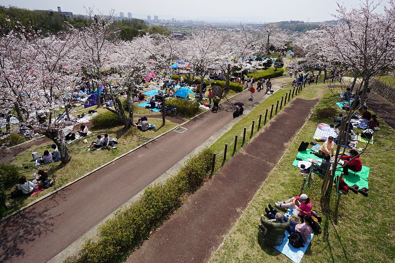 🏞️ 셋쓰쿄 공원 (Settsukyo Park) 이미지 10